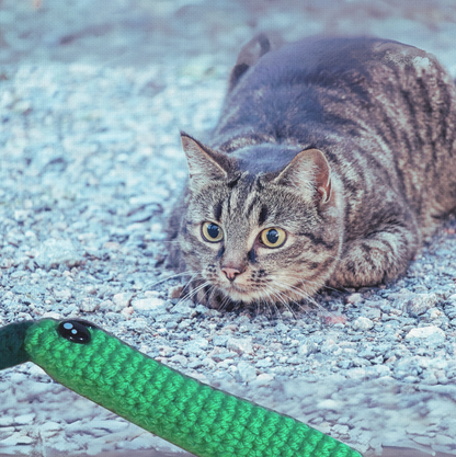 Tabby cat stalking green lightweight cat toy Leaf Stick with crinkles on gravel surface
