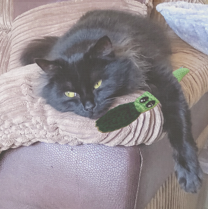 Lightweight Cat Toy - Handmade Leaf the Stick with Crinkles for Cats