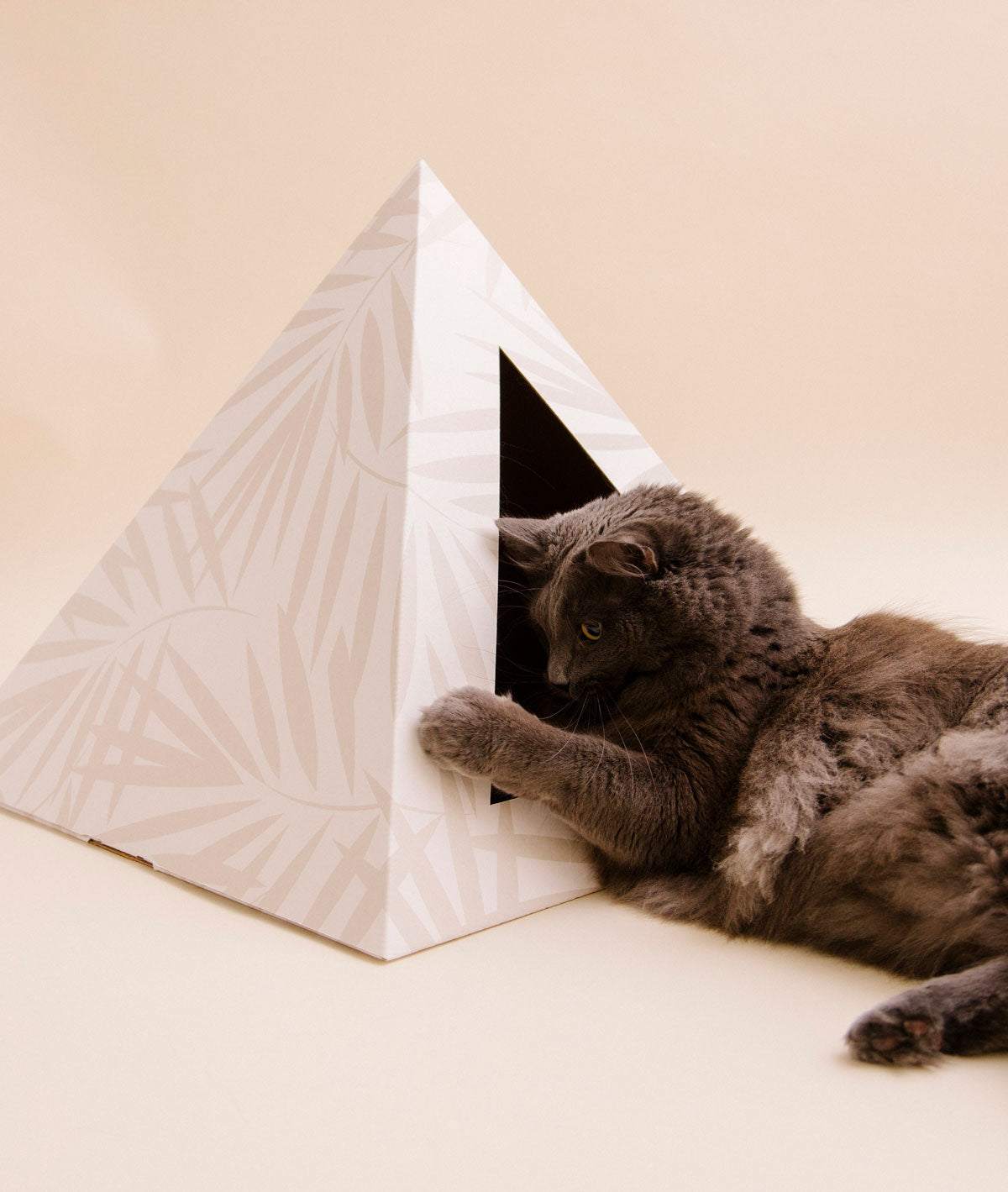 Neutral Palm cardboard cat pyramid with modern palm leaf design and a gray cat playing nearby