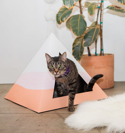 Wavey Cardboard Cat Pyramid with tabby cat emerging, placed near a plant and white rug, eco-friendly recycled cardboard cat hideaway
