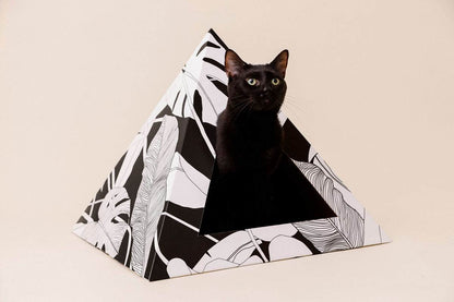 Black cat inside Dark Paradise Cardboard cat pyramid with black and white leaf design