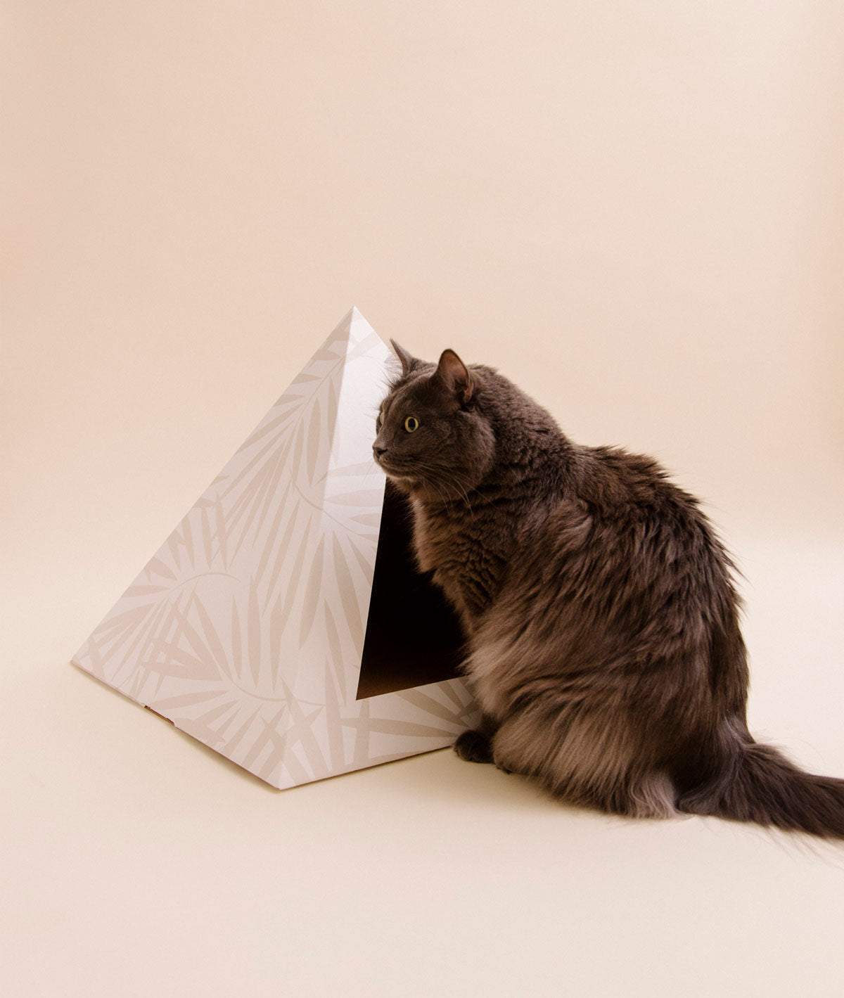 Neutral Palm cardboard cat pyramid with palm leaf design and gray cat sitting beside it