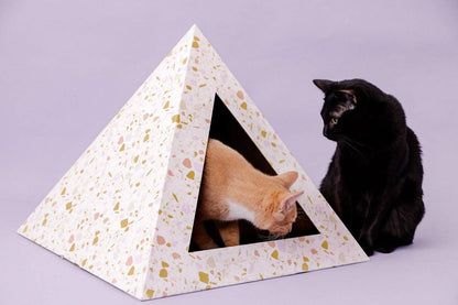 Terrazzo patterned cardboard cat pyramid with two cats, one inside and one outside the pyramid.