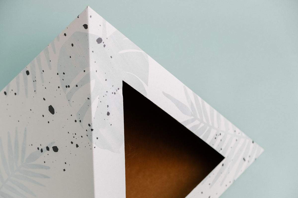 Oasis Cardboard Cat Pyramid with artistic leaf design and triangular opening against light blue background