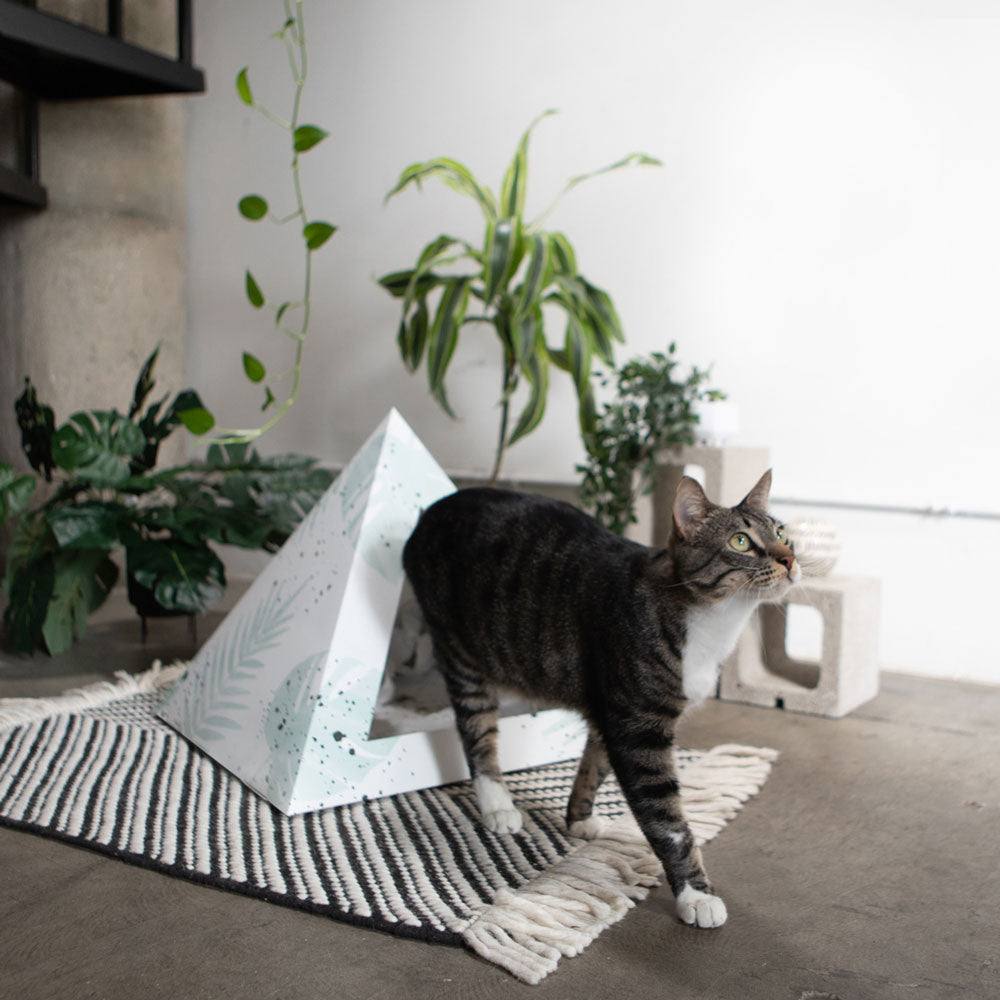 Oasis Cardboard Cat Pyramid with artistic design and eco-friendly materials beside a tabby cat on striped rug in modern indoor setting