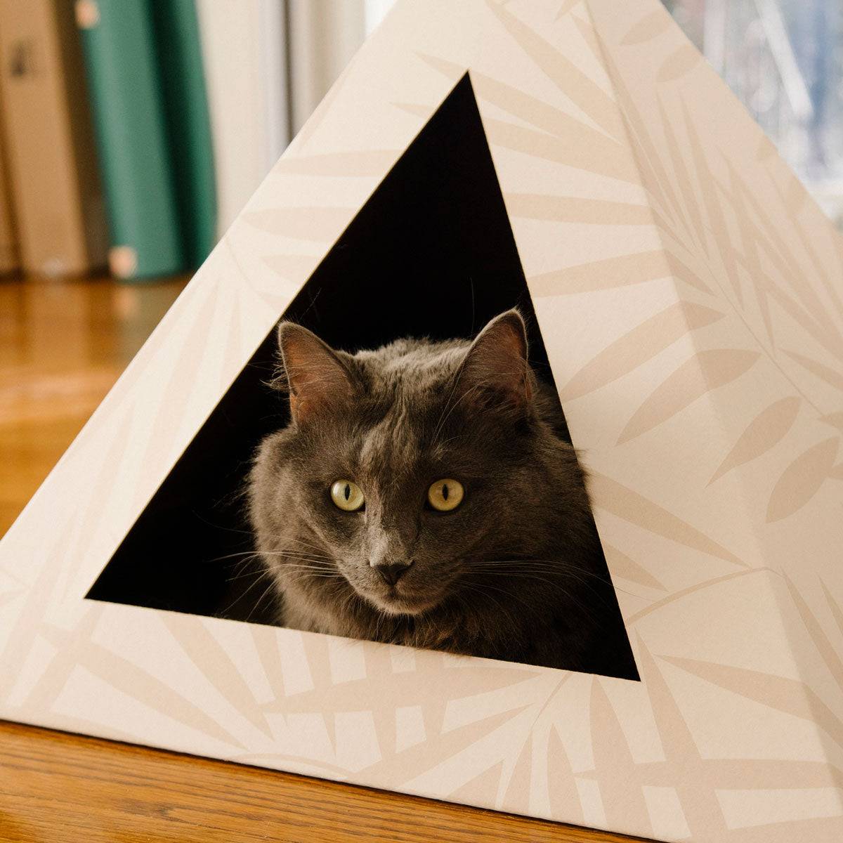 Gray cat inside Neutral Palm cardboard cat pyramid with triangular entrance on wooden floor