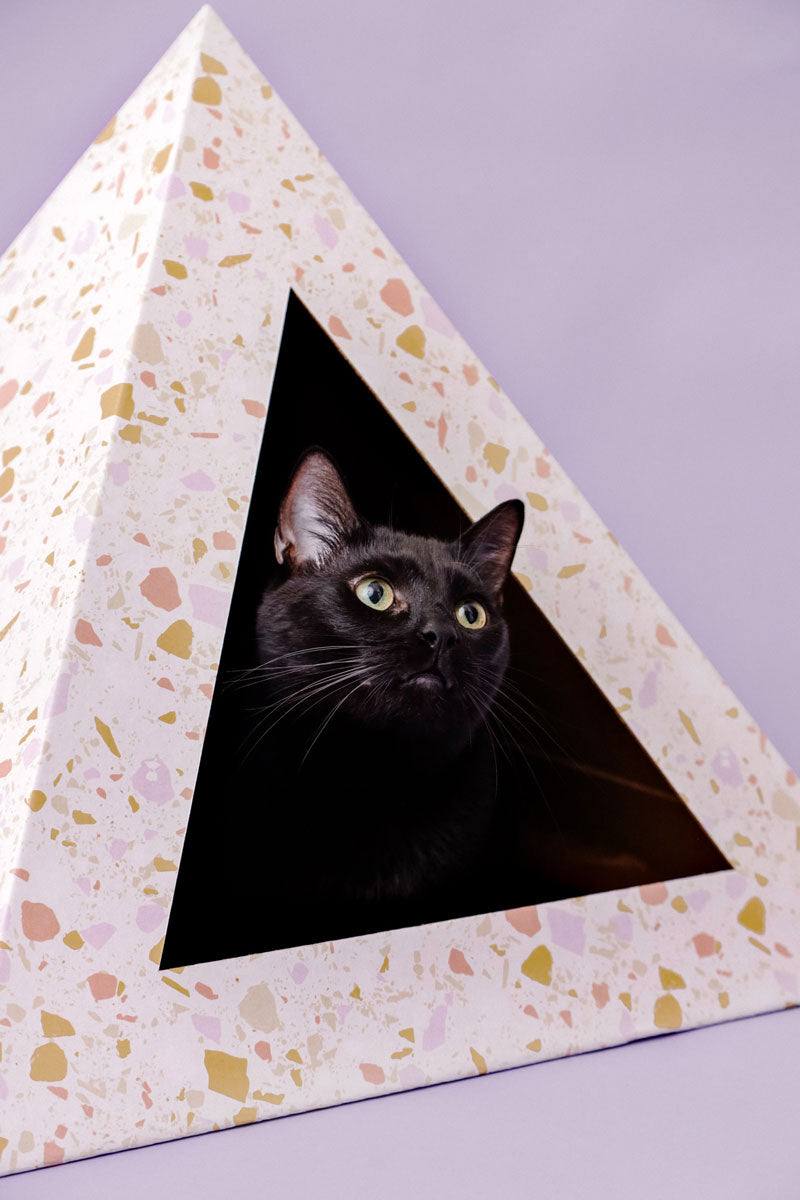 Terrazzo patterned cardboard cat pyramid with black cat inside on purple background
