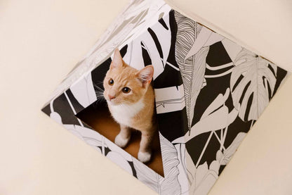 Cat inside Dark Paradise Cardboard cat pyramid with black and white leaf design