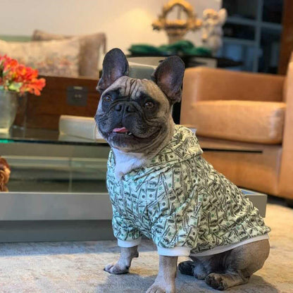 Small dog wearing stylish money print hoodie