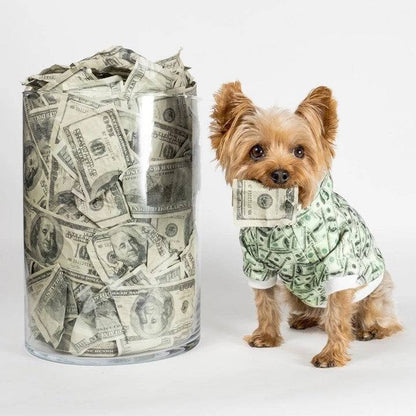 money print dog hoodie on small dog