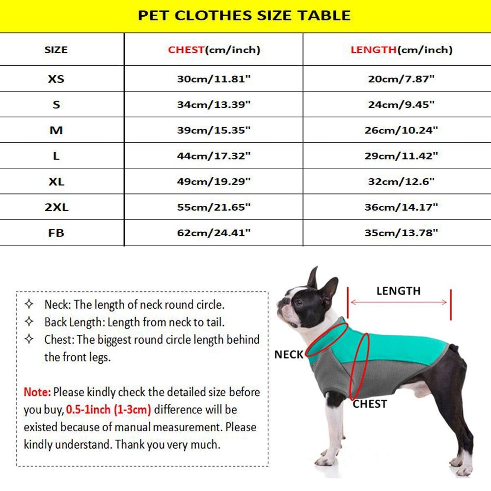 small dog wearing money print dog hoodie