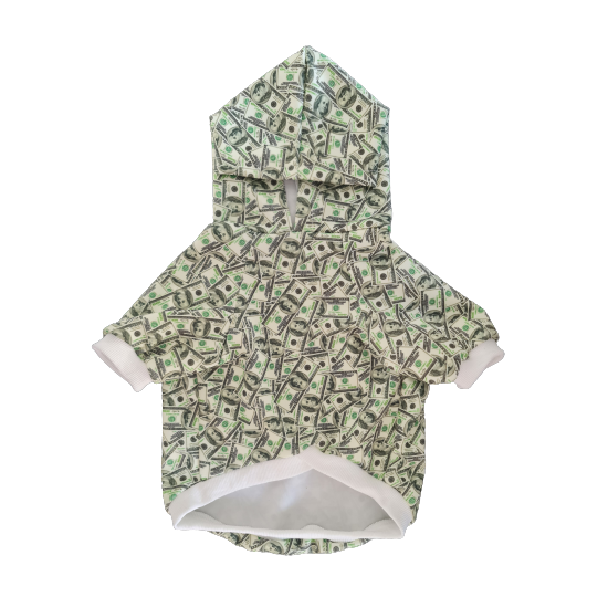 small dog wearing money print hoodie for pets