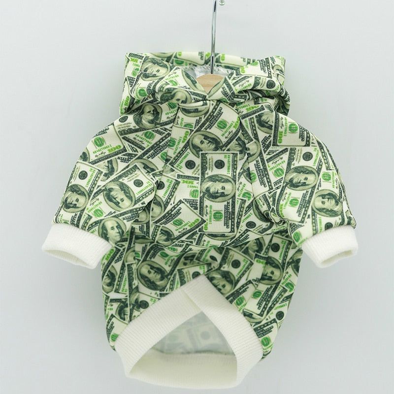 small dog wearing money print hoodie