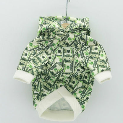 small dog wearing money print hoodie