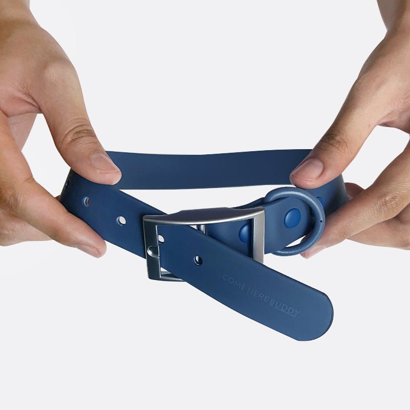 Everyday Collar - Durable, Comfortable Pet Collar for All Weather Use