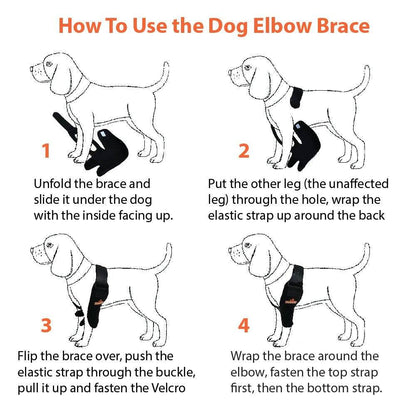 NeoAlly elbow and shoulder brace on a dog providing joint support
