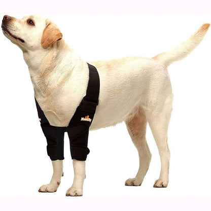 NeoAlly elbow and shoulder brace on dog paw for joint support