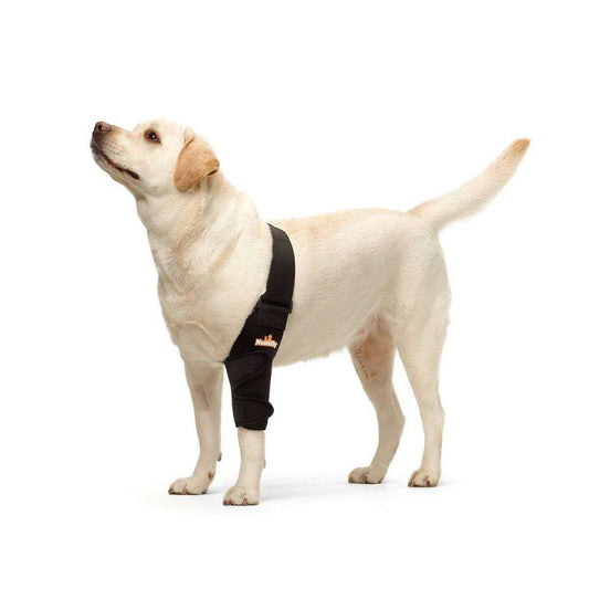 NeoAlly elbow and shoulder brace on dog providing joint support