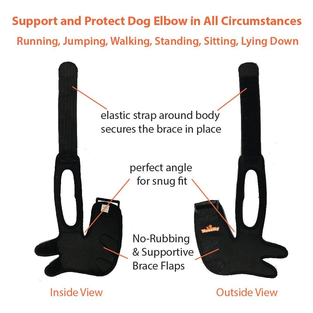 NeoAlly elbow and shoulder brace on dog leg providing joint support