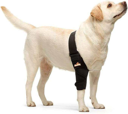 NeoAlly elbow and shoulder brace on dog for joint support