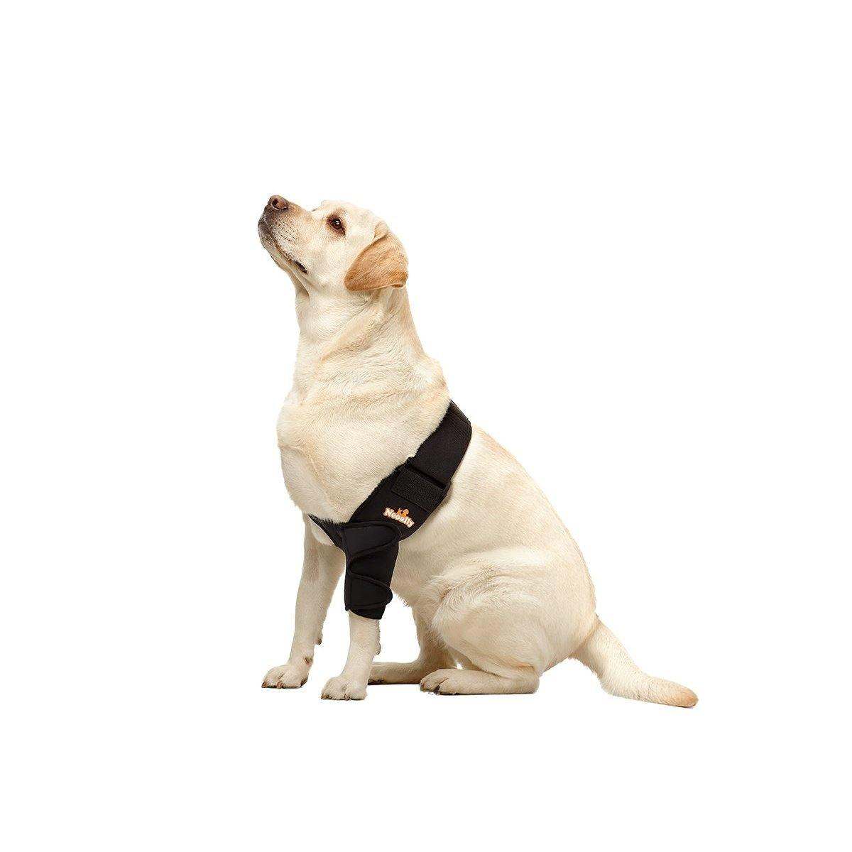 NeoAlly elbow and shoulder brace supporting dog leg mobility