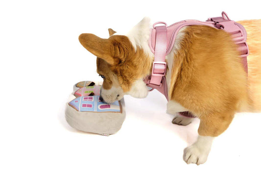 Painted Ladies Nose Work Dog Toy with three colorful Victorian houses