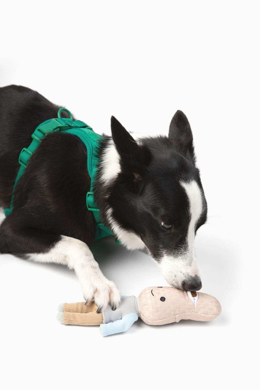 Peanut nose work dog toy with squeaker and treat pockets