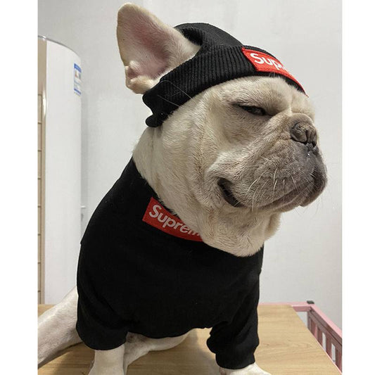 Small dog wearing cozy HYGGEPET street clothing set with hat