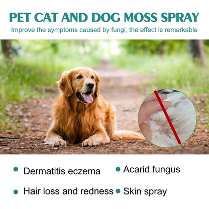 Pet skin medicine spray for cats and dogs to treat mite itching and skin irritation