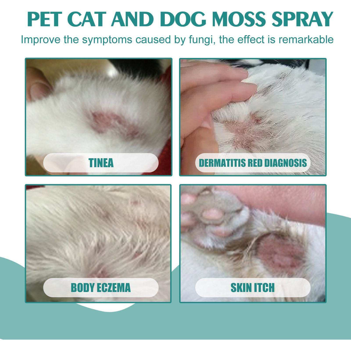 Pet skin medicine spray bottle for cats and dogs treating mites and itching