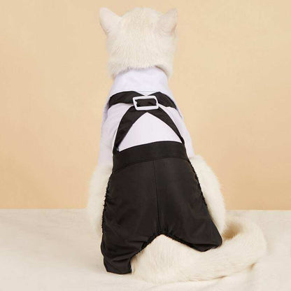 White dog wearing black and white Pet Suit with Bow Tie, tuxedo style with suspenders and buckle detail on back