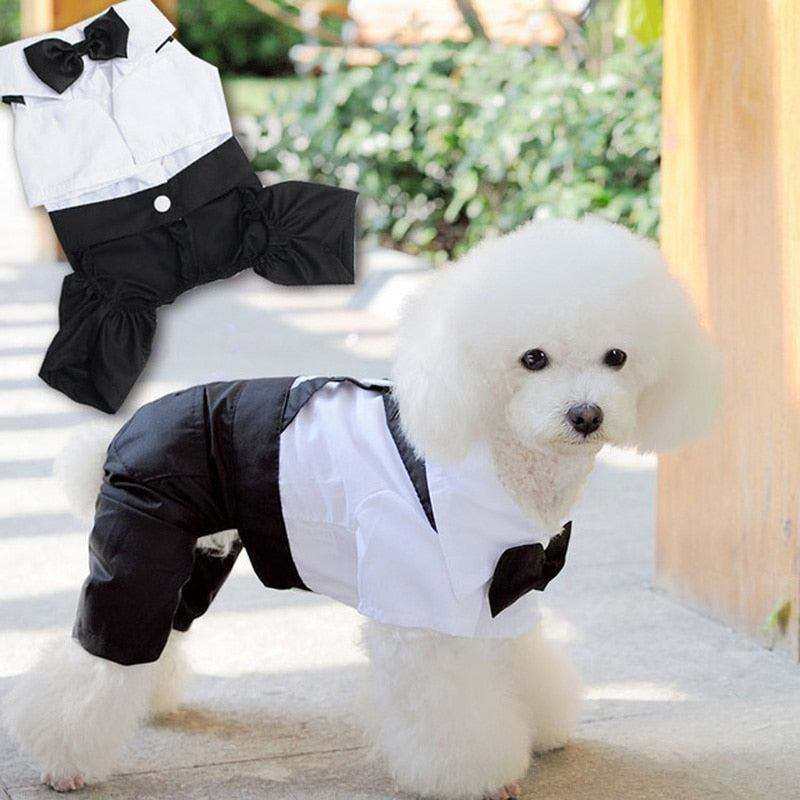 Pet Suit with Bow Tie black and white tuxedo jumpsuit for dogs with a silky bow tie and tailored fit