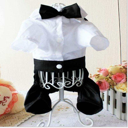 Pet Suit with Bow Tie featuring a white cotton blend shirt, black bow tie, black pant legs, and button details