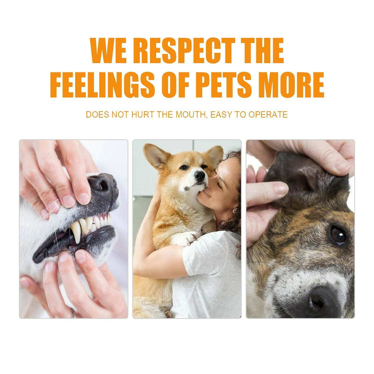 Pet teeth cleaning gloves removing tartar from dog and cat teeth