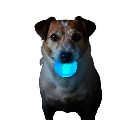 Dog holding glowing blue Strobe Ball Light-Up Dog Toy in mouth during nighttime play