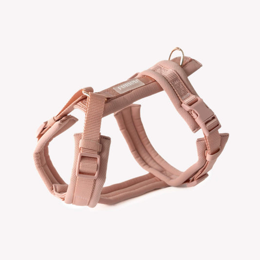 Powder rose comfort dog harness with adjustable padded straps and gold hardware