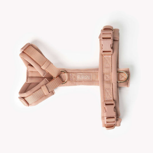 powder rose comfort dog harness with gold accents on small dog