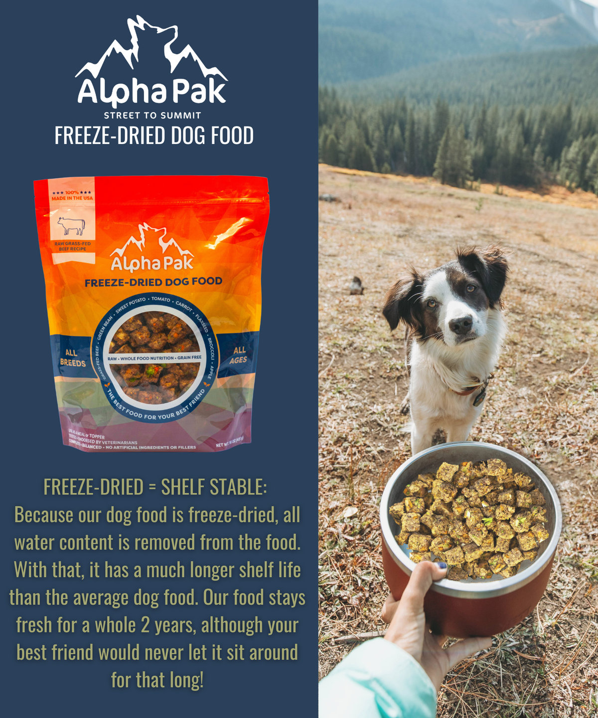 Premium Raw Freeze Dried Dog Food bag with freeze-dried beef recipe visible through packaging alongside a bowl of cubed dog food held by a person outdoors and a dog looking on