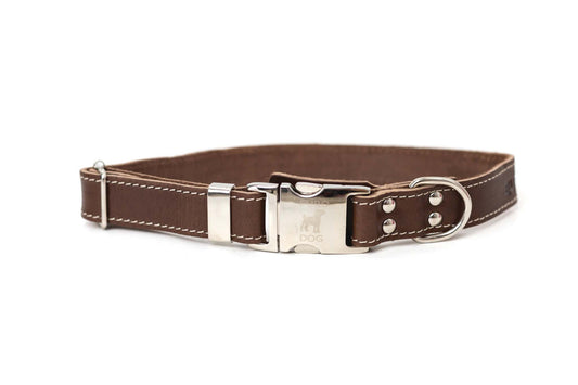 Pro Line Quick-Release chocolate leather dog collar with metal buckle