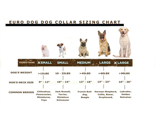 Pro Line Quick-Release chocolate leather dog collar with metal buckle