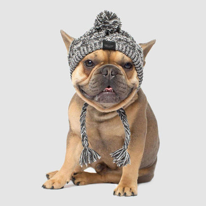 Discover the foldable pet food & water bowl by Tilley + Me, perfect for travel and outdoor outings. A compact solution for pet feeding on the go!