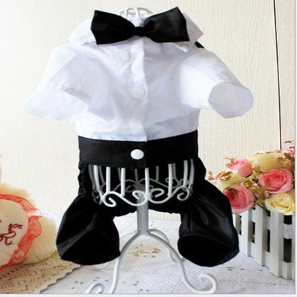 Pet suit with bow tie in black and white tuxedo style for small dogs and cats