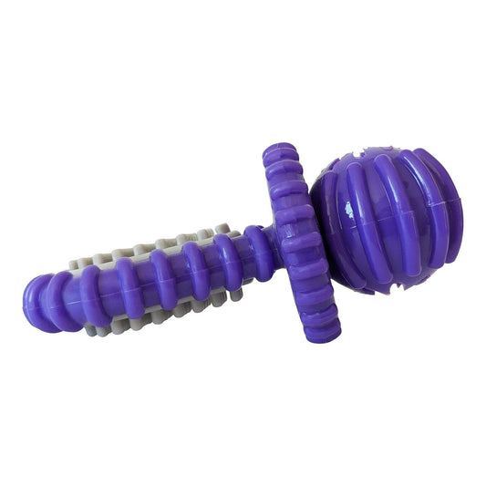 Purple rubber dental pacifier dog toy with ridges and treat hole