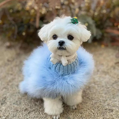Haute Couture Feathered Luxury Pet Sweater: Stylish Warm Pet Clothes