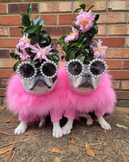 Haute Couture Feathered Luxury Pet Sweater: Stylish Warm Pet Clothes