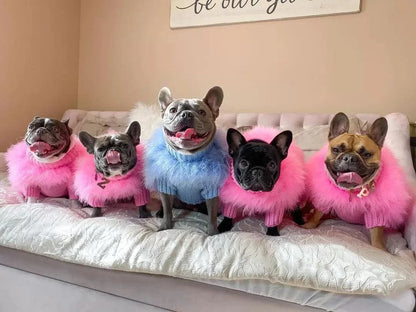 Haute Couture Feathered Luxury Pet Sweater: Stylish Warm Pet Clothes