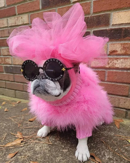 Haute Couture Feathered Luxury Pet Sweater: Stylish Warm Pet Clothes