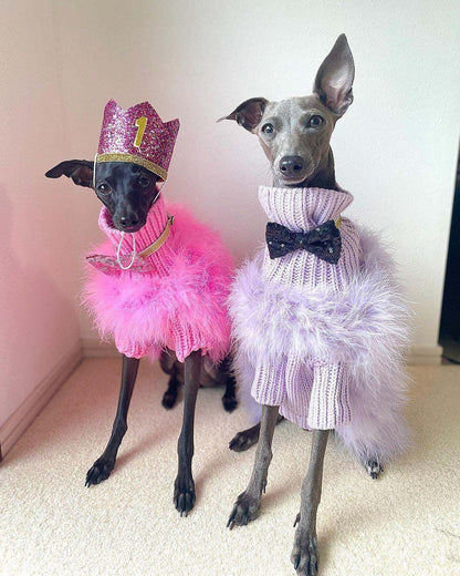 Haute Couture Feathered Luxury Pet Sweater: Stylish Warm Pet Clothes