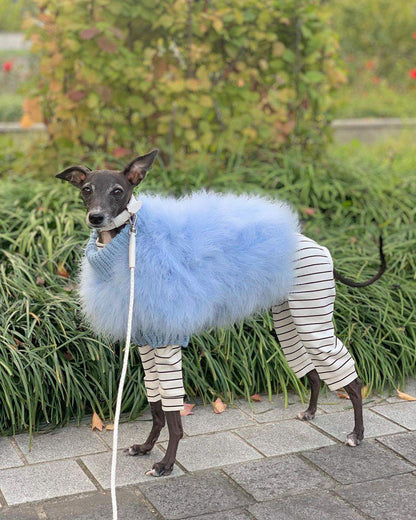 Haute Couture Feathered Luxury Pet Sweater: Stylish Warm Pet Clothes