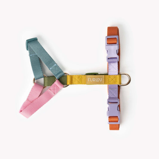 Rainbow adjustable dog harness with gold hardware